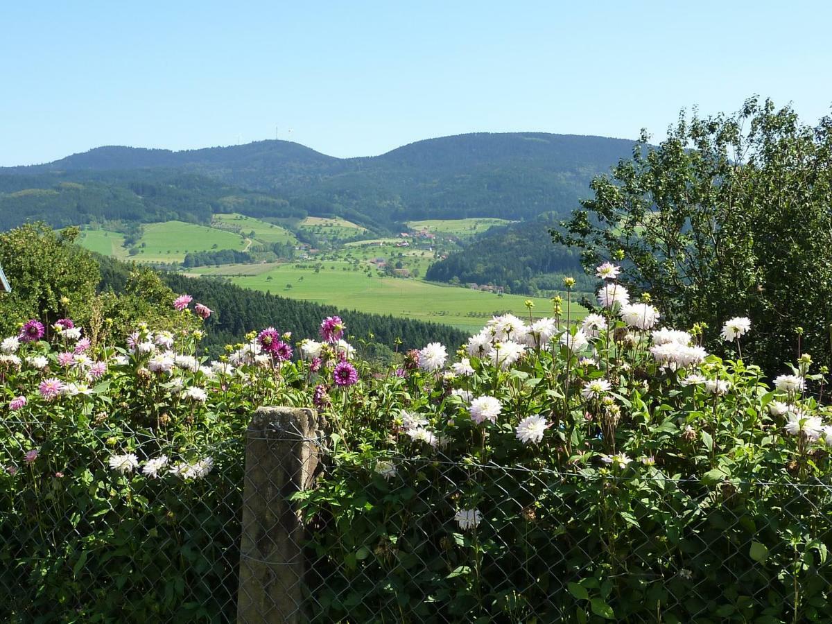 Ferienhaus Eck Villa Zell am Harmersbach Kültér fotó