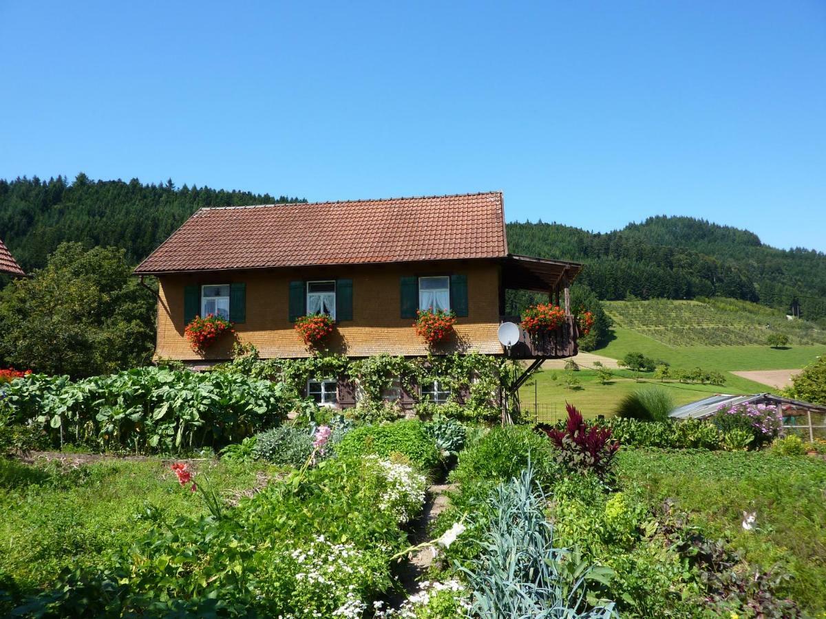 Ferienhaus Eck Villa Zell am Harmersbach Kültér fotó