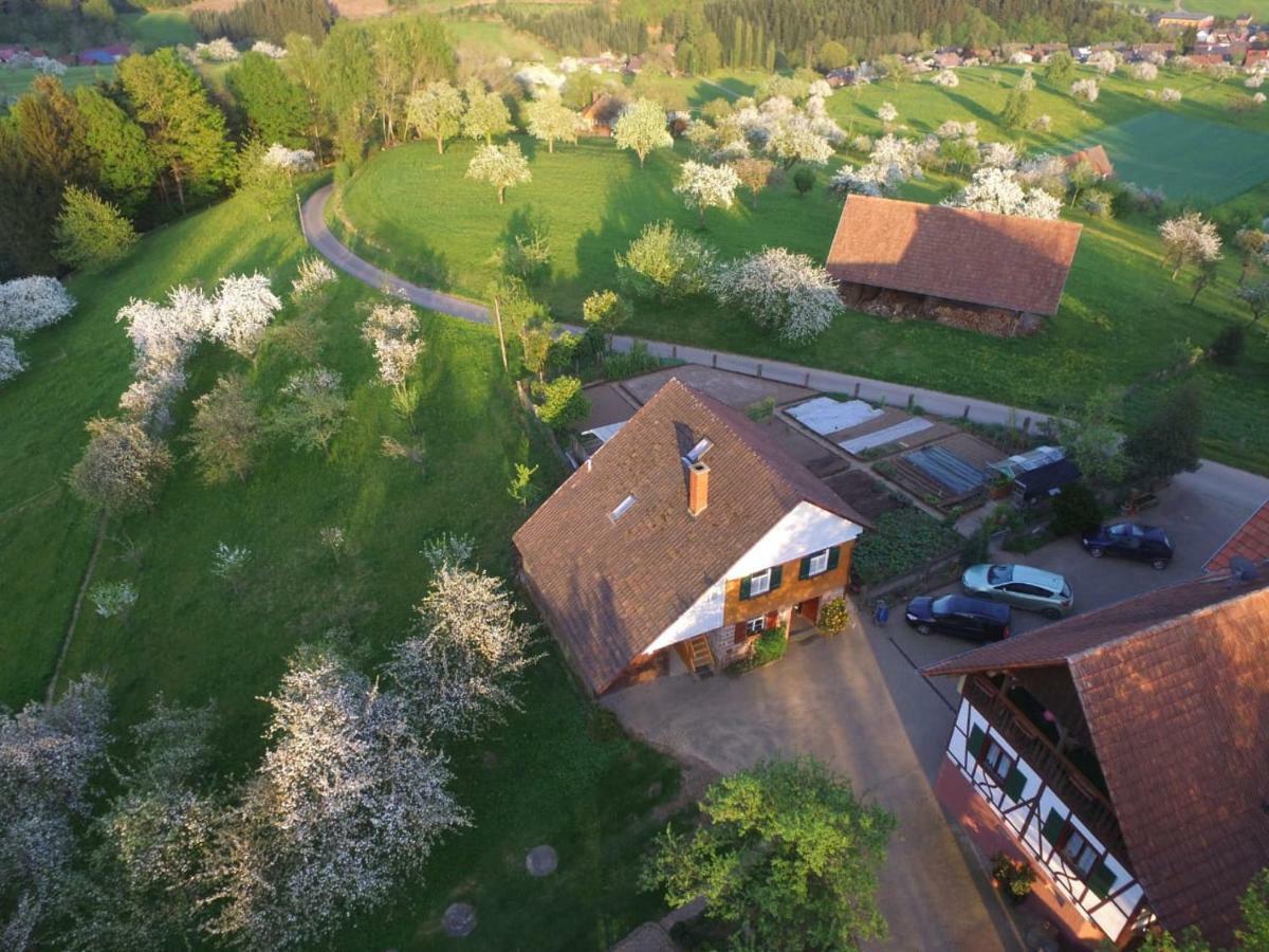 Ferienhaus Eck Villa Zell am Harmersbach Kültér fotó